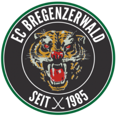EC Bregenzerwald 2016-Pres Primary Logo iron on transfers for clothing